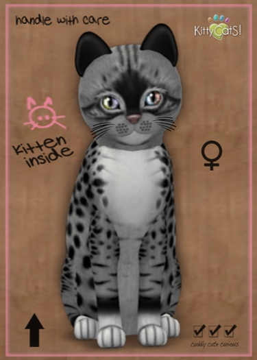 MEGAPUSS: KittyCatS Box - Genesis - Bandit II - MegaPuss
