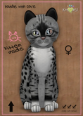 MEGAPUSS: KittyCatS Box - Genesis - Bandit II - MegaPuss