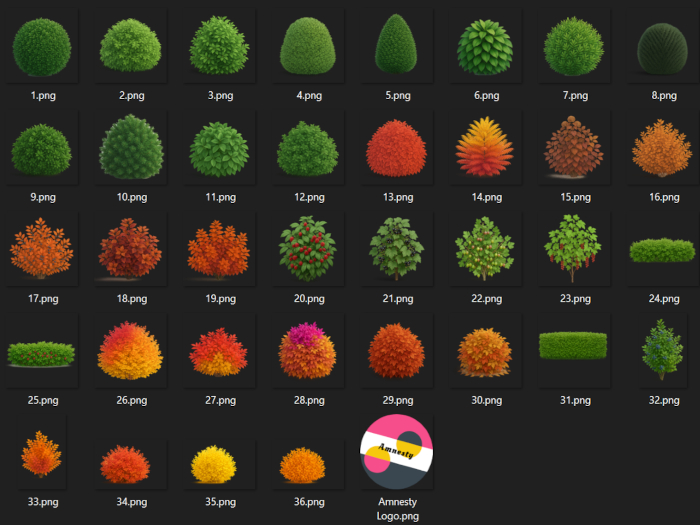Bush & Shrub Transparent PNG "BOXED"