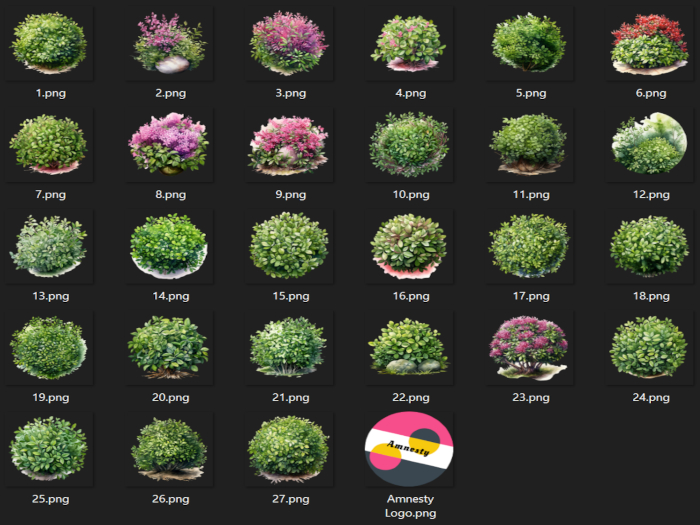 Full Bushes Transparent PNG "BOXED"