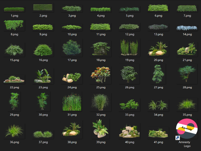 Landscaping Plants Transparent PNG "BOXED"
