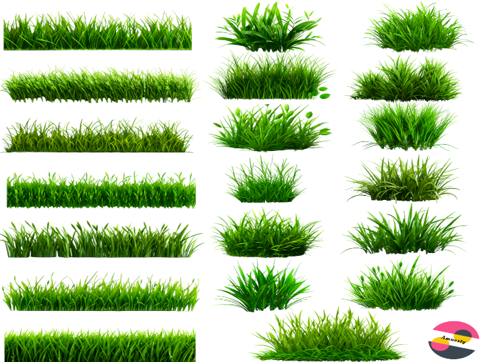 Realistic Grass Border & Patch Transparent PNG "BOXED"