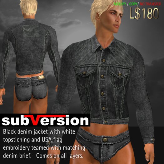 .~subVersion~. DENIM jacket USA flag - black
