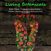 Inochi Botanicals - Tropical Hanging Basket J