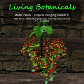 Inochi Botanicals - Tropical Hanging Basket H