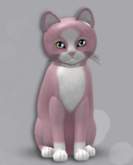New Born Kitten 190 F 