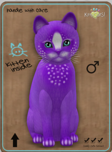 KittyCatS Box - Confetti - GrapeBerry Male