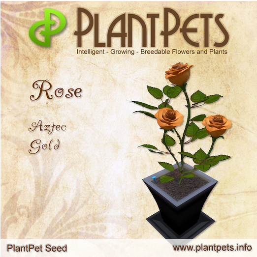 PlantPet Seed [Rose *Aztec Gold*]