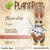 PlantPet Seed [Romulea *Sugar*]