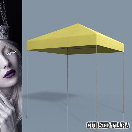 Canopy Tent