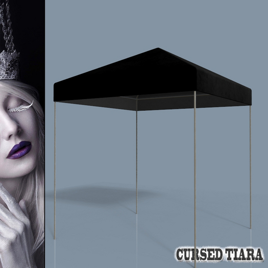 Canopy Tent