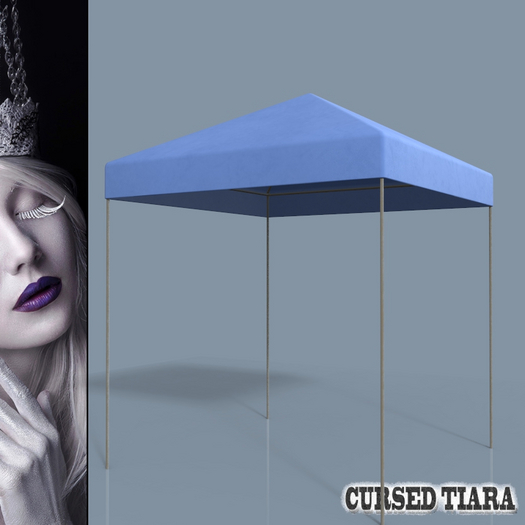 Canopy Tent