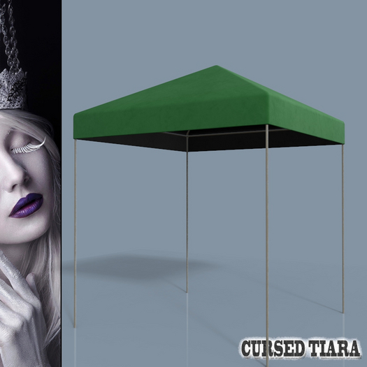Canopy Tent