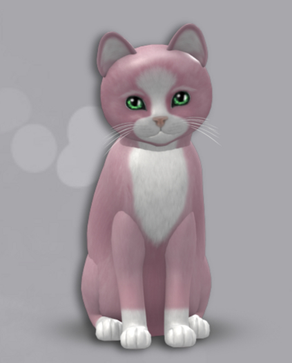 New Born Kitten 191 M