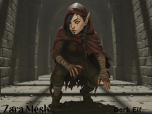 ZM PBR Dark Elf Character FULL PERM MESH
