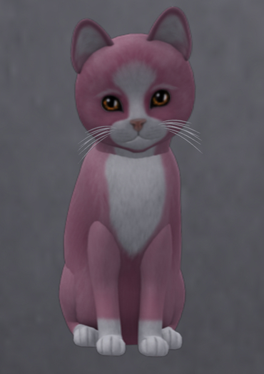 KittyCats Box 192 M