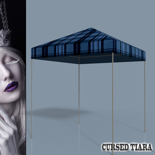 Canopy Tent