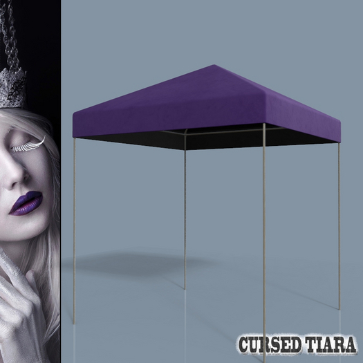 Canopy Tent