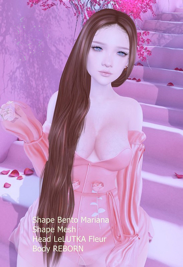 Shape Bento Mariana