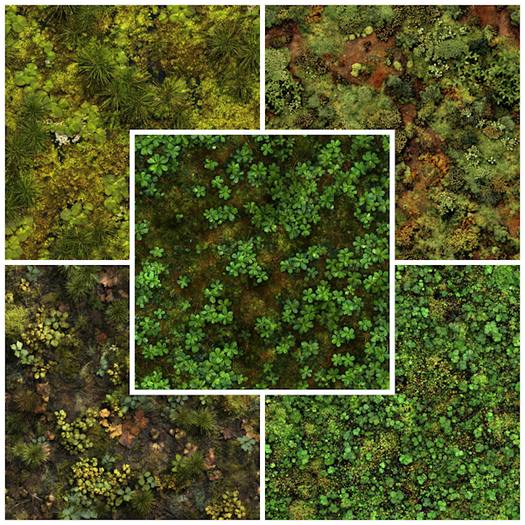 Second Life Marketplace - C.G - 5 Outdoor Swamp ground Textures -s2 ...