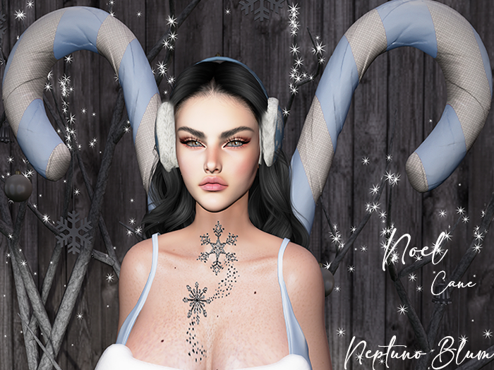 NB* NOEL CANE - ACCESORIE