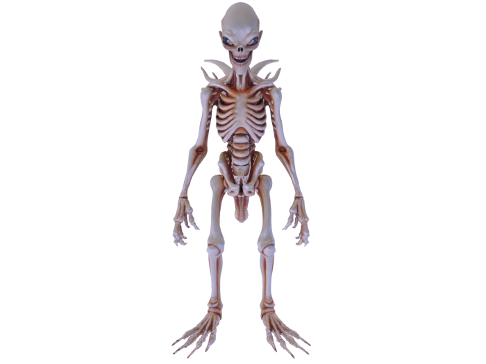 Alien Creature FULL PERM