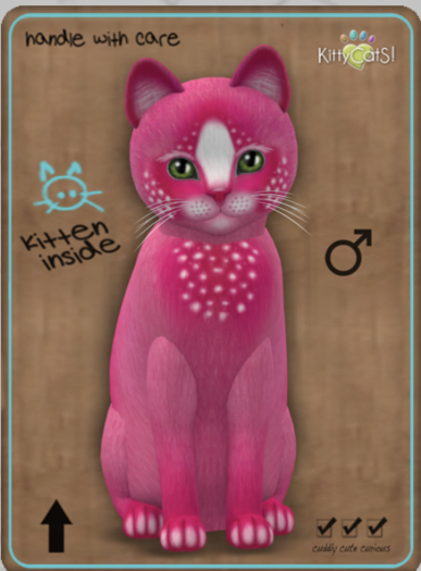 KittyCatS Box - Confetti - PinkBerry Male
