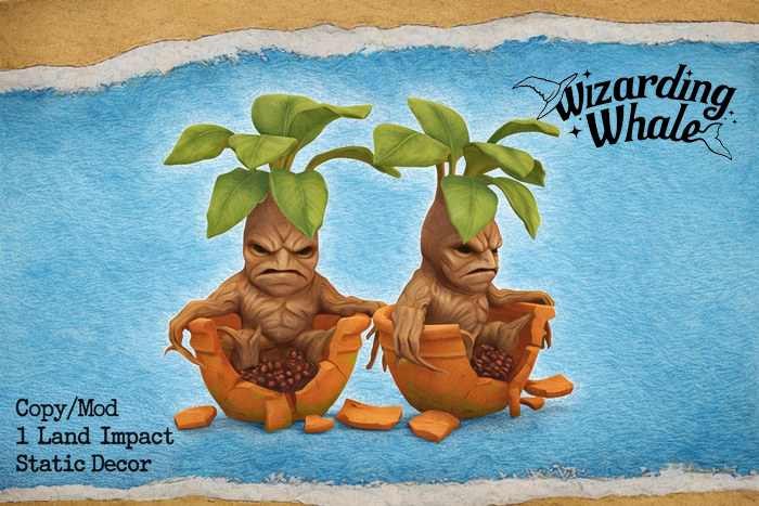 Wizarding Whale - Mandrake (Mandragora)
