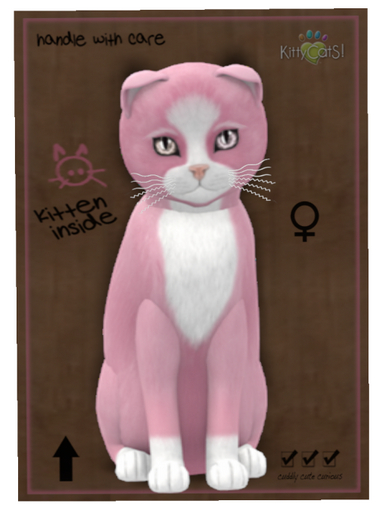 KittyCatS Box - TEACUP 9TF SCOTTY ChatCatPink Flair ODYFRAZWAV