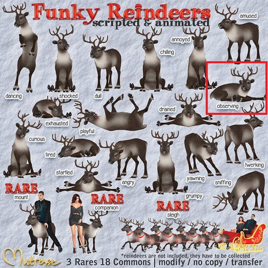 07 Mutresse-Observing-Funky Reindeers