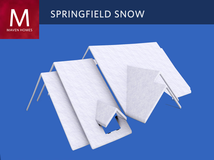 The Springfield Snow Cover