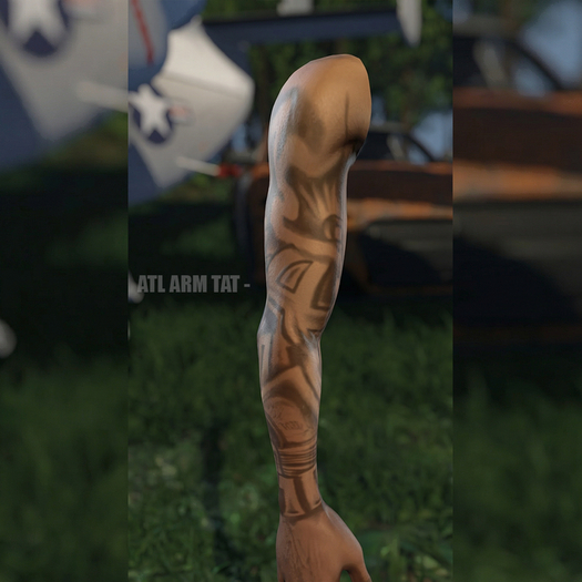 SLUGS - ATL ARM TAT