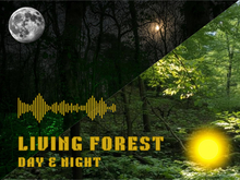 Sound: Living Forest - Day & Night [Transfer]
