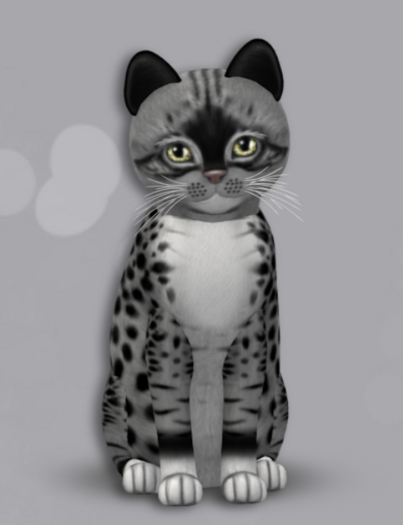 KittyCats Box 1 M