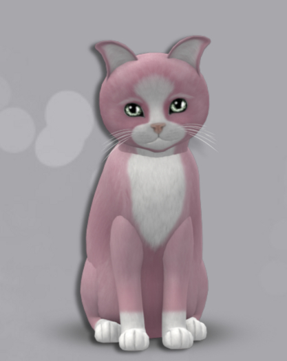 KittyCatS Box 2 M