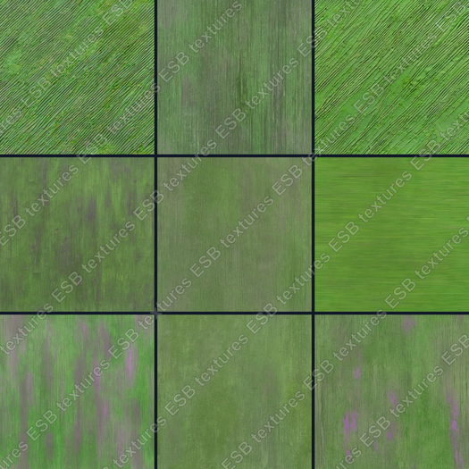 emerald-whisper-distressed-timber