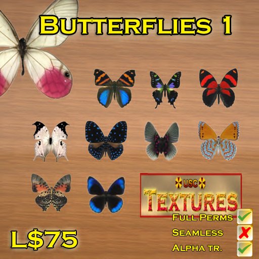 USC Textures - Butterflies 1