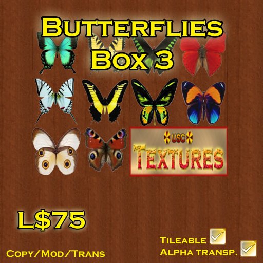 USC Textures - Butterflies 3