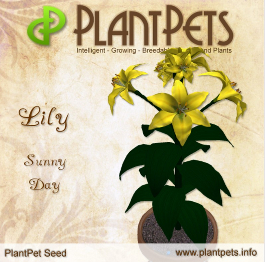 PlantPet Seed [Lily *Sunny Day*] RARE ELITE