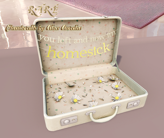 hive dust // homesick suitcase RARE