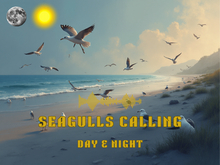 Sound: Seagulls Calling - Day & Night [Copy]