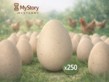MyStory Egg x 250