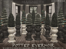Magnetic - Potted Evernoir