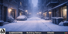 Winter Backdrop - Urban Silence 3