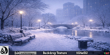 Winter Backdrop - Urban Silence 6