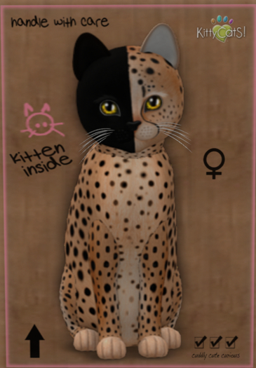 KittyCats Box 199 F