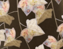 Potted Breedable Ivy plant seed Key to kiss