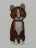 KittyCatS Box 203 F