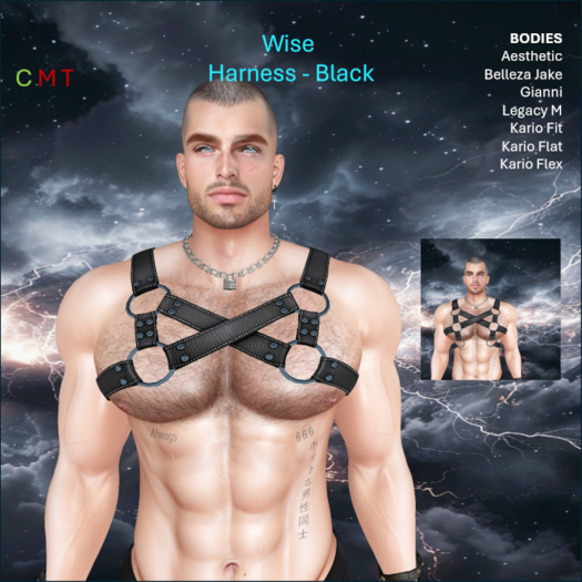 WiZe Delivery (Add) - WiZe Rage Harness Black