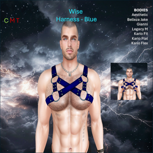 WiZe Delivery (Add) - WiZe Rage Harness Blue